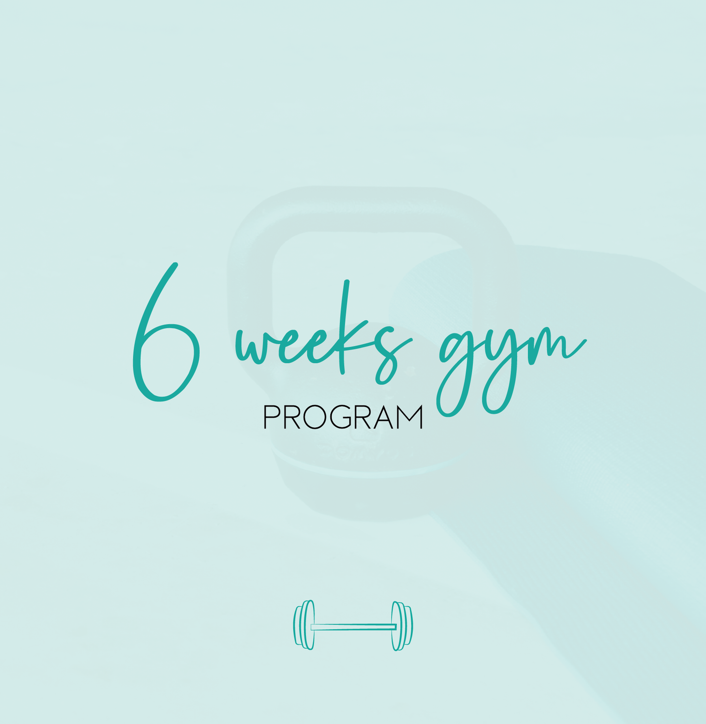 6 week Gym Program